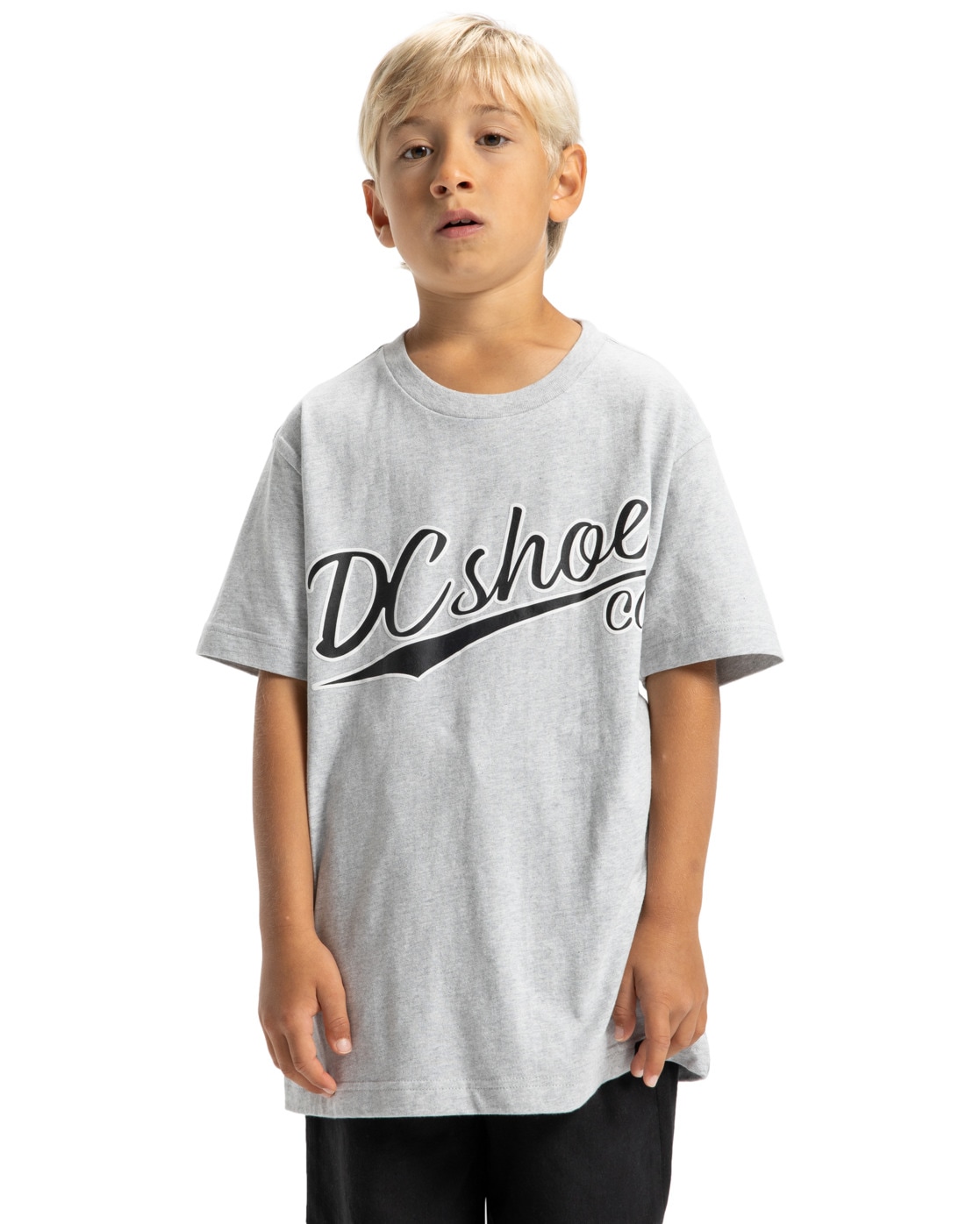 T-Shirt DC SHOES "Substitute", Jungen, Gr. 10(140-148cm), grau (light erdgrau), Obermaterial: 75% Walkfrottier, 25% Walkfrottier;, Shirts T-Shirt