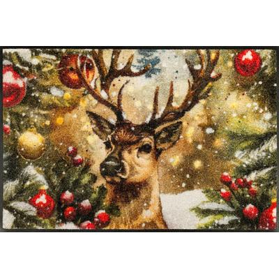Fußmatte "Festive Spirit", bunt, B:50cm H:7mm L:75cm, Polyamid, WASH+DRY BY KLEEN-TEX, Teppiche, waschbar und trocknergeeignet Image