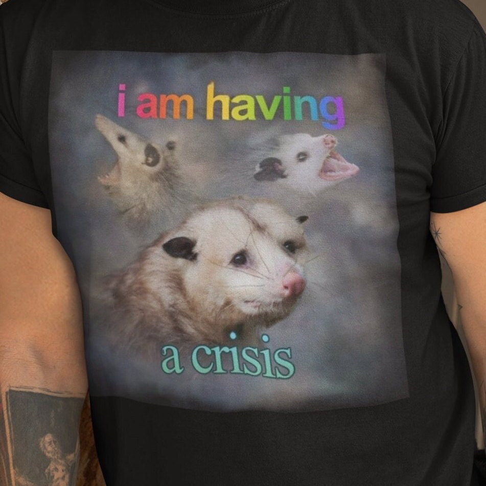 Sto avendo una crisi / Dank Meme Quote Camicia Out of Pocket Humor Possum T-shirt Divertente dicendo Edgy Joke Y2k Trendy Regalo per lei