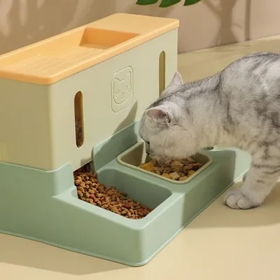 Square Pet Food Feeder and Waterer Automatic Dispenser Chicken Freeze-dried Cat Food Storage for Dogs and Cats