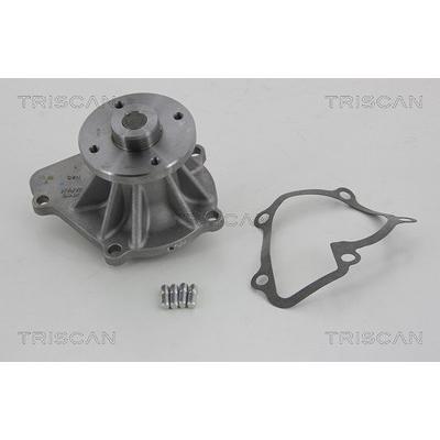 Triscan Wasserpumpe [Hersteller-Nr. 860014019] für Ford, Nissan Image