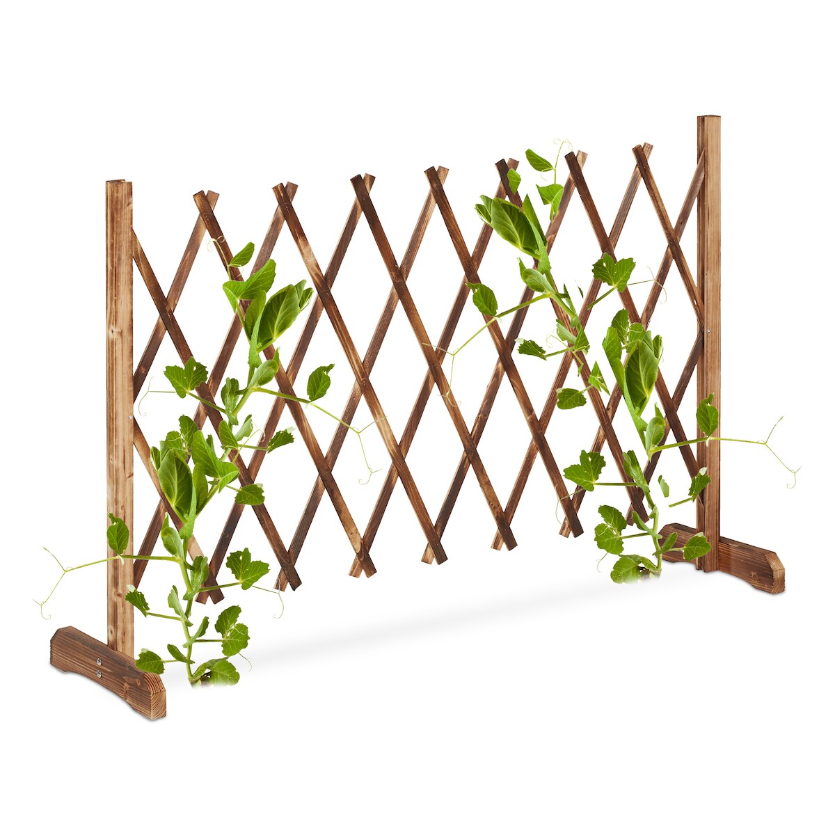 Relaxdays Rankgitter Holz, ausziehbar bis 185 cm, Rankhilfe Kletterpflanzen, Scherengitter freistehend, Garten, natur Image