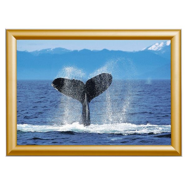 Showdown Displays Klapprahmen DIN A3 gold, 32.8x45.1x1.2 cm Image