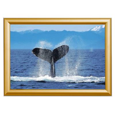 Showdown Displays Klapprahmen DIN A4 gold, 24.1x32.8x1.2 cm Image