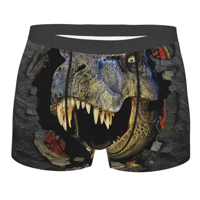 Custom Jurassic Park Logo Underwear Men Breathbale Dinosaur Movie Boxer Briefs