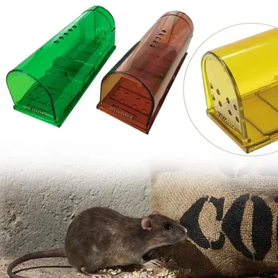 1PC Smart Self-locking Mousetrap Safe Firm Transparent Household Mouse Catcher Control Cage Mice Rodent Catcher Rat Trap