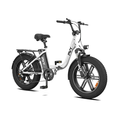 PVY LS20 E-Mountain bike, 1000W E-bike with 48V 16.5Ah battery, 20-inch fat tire adult Electric Bike，city ebike