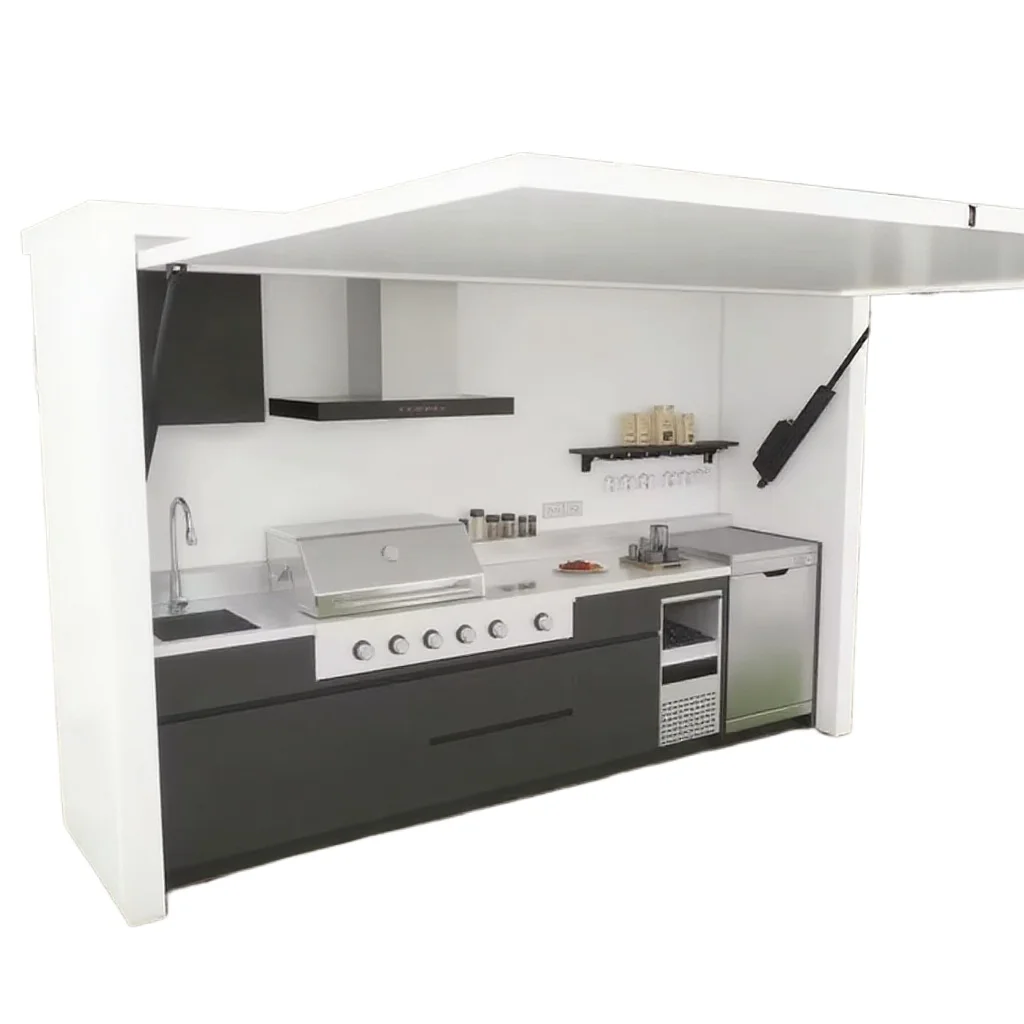 Wasserdichte Außenküche, Garten, Hinterhof, Außenküche aus Edelstahl mit Schuppen Image