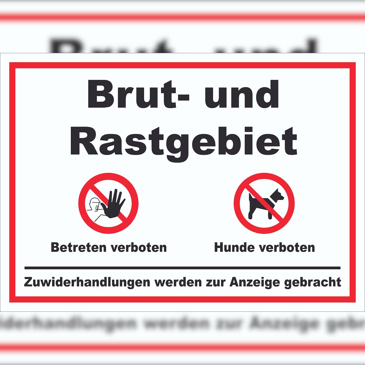 HB-Druck Brut- und Rastgebiet Betreten und Hunde verboten Schild A0 (841x1189mm) Image