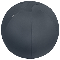 Leitz Ergo Cosy Sitzball für aktives Sitzen 5279 Tragegriff Waschbar 65 cm Bis zu 100 kg Grau Image