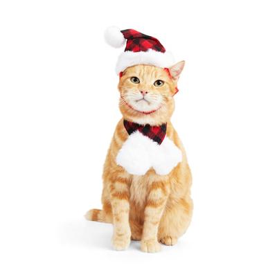Merry Makings Mrs. Claus Cat Costume, Small/Medium