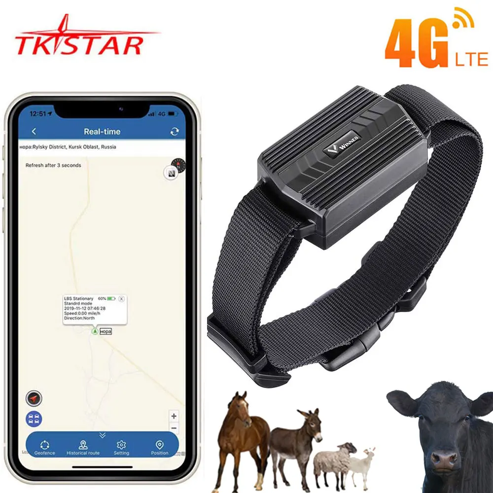 Animal chameau 4G GPS Tracker pour vache TK935 TKSTAR chameau GPS localisateur étanche GPS Tracker voiture aimant gratuit Web APP