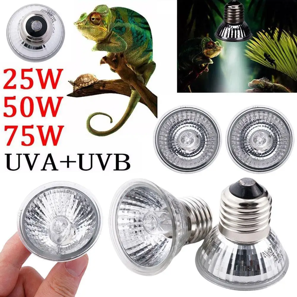 20/50/75W lampe thermique UVA UVB Reptile lampe à température constante spectre complet lampe solaire se prélasser lumière pour animaux de compagnie poulailler animal tortue lampe