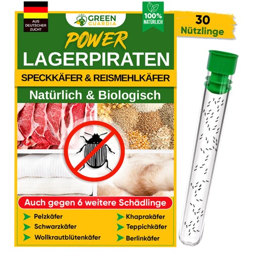 Lagerpiraten gegen Speckkäfer, Reismehl-/, Pelz-/ & Teppichkäfer: 10 x 30 Nützlinge für ca. 150m² Image
