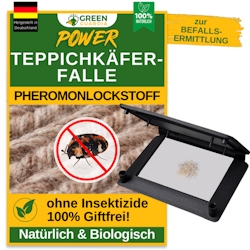 Green Guardia Teppichkäfer Falle mit Pheromon-Lockstoff: 5 Image