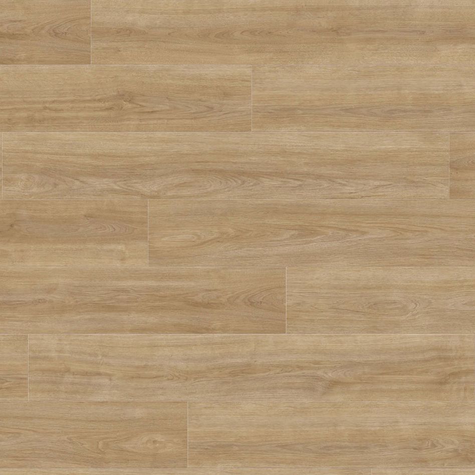 HARO Laminat Landhausdiele TRITTY 100 TC 4V Eiche Eleganza puro authentic, Mit Silent CT Dämmunterlage Image