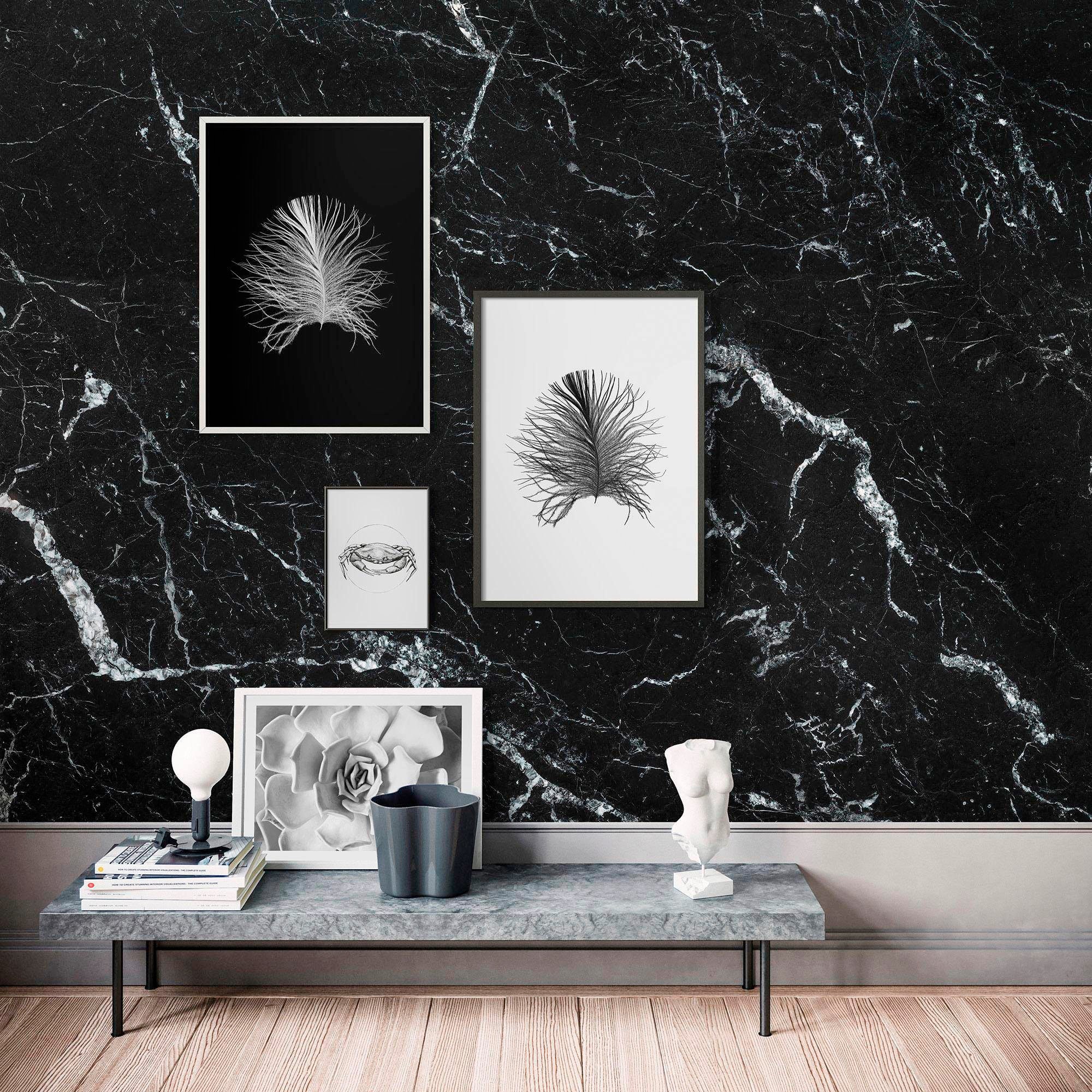 Bild KOMAR "Feather Black", bunt (farbe bild(er): bunt), B:30cm H:40cm, Holz, Papier, Bilder, Wandbild zur Dekoration - ohne Rahmen Image