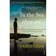 In The Sea There Are Crocodiles - Fabio Geda, Kartoniert (TB)