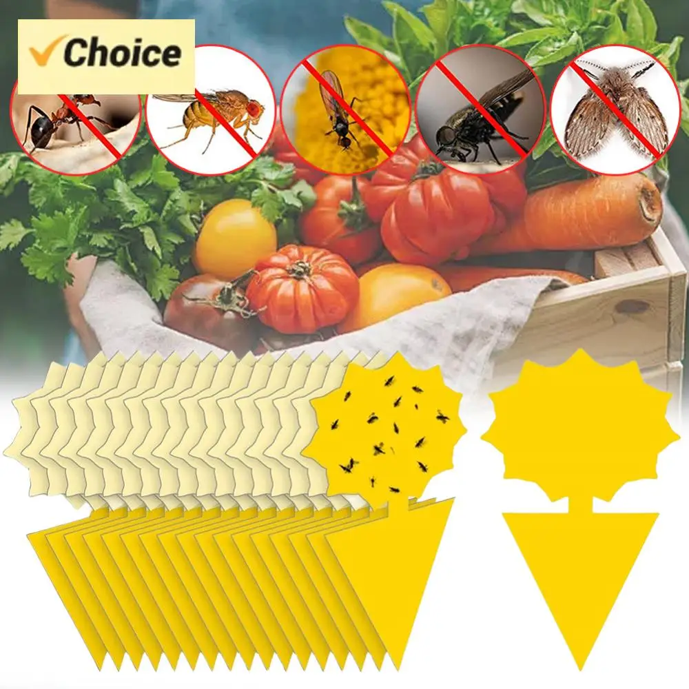 20 Stück Obstfliegen-Klebefallen, ungiftig und geruchlos, gelbe klebrige Insektenfallen, klebrige Brettfallen für Gartenpflanzen, Küche Image