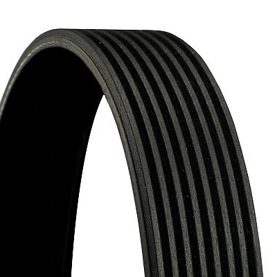 CONTINENTAL CTAM Keilrippenriemen Universal für IVECO FREIGHTLINER VOLVO 5801574531 0123415020 8087428 8PK1755 Image