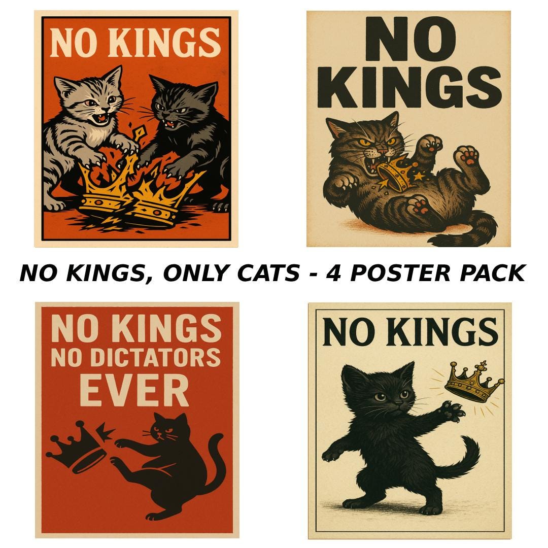 Pacchetto di cartelli di protesta No Kings, No Kings, Solo gatti, cartelli per raduno anti-Trump, raduno No Kings, confezione da 4 poster No Kings (3