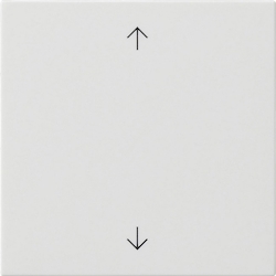 Gira Wippe 1-fach 538903 Image