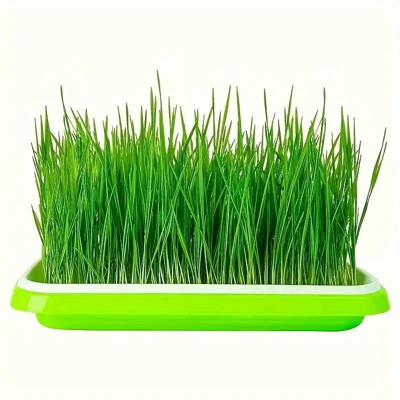 Anzug für Sämlingstabletts, Keimtabletts für den Garten, Pflanzwerkzeug für Gemüsebohnensprossen, Pflanzenkulturtablett Image