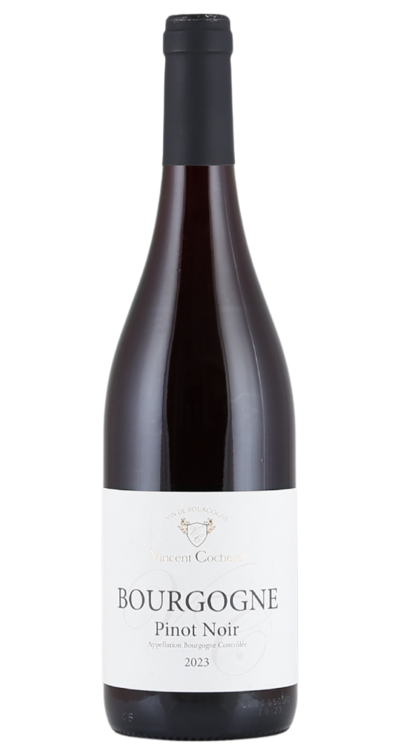 Domaine Vincent Cocherel Bourgogne Pinot Noir 2023 Image
