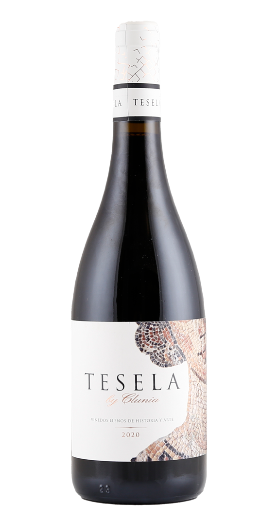 Clunia Tesela 2020 Image