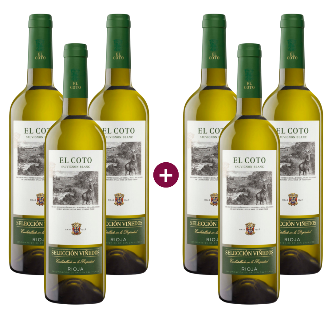3+3 El Coto Selección Viñedos Sauvignon Blanc 2023 Image