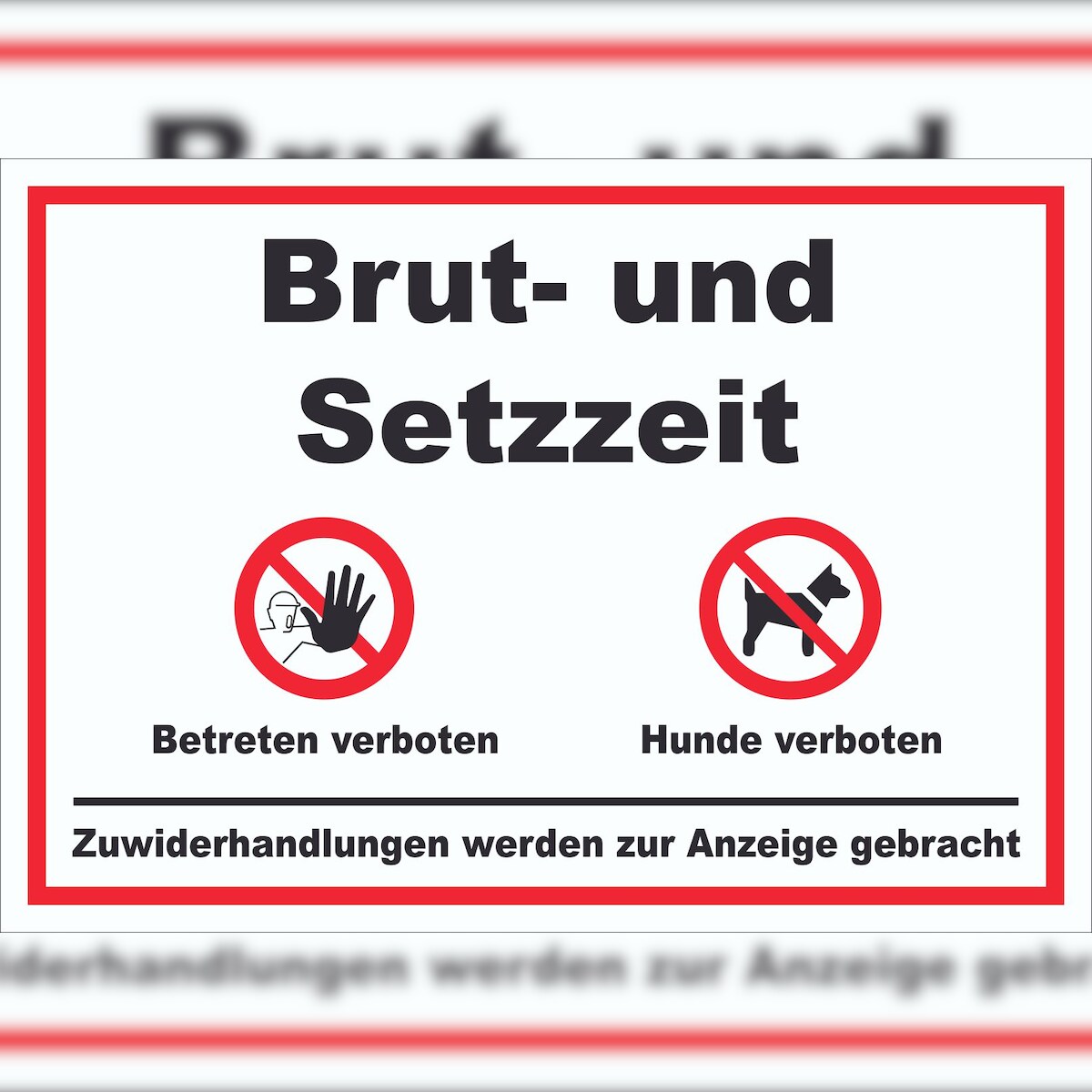 HB-Druck Brut- und Setzzeit Betreten verboten Hunde verboten Schild A0 Rückseite selbstklebend Image