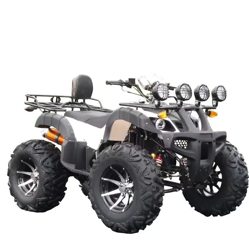 Allrad-Offroad-Strandmotorrad, All-Terrain-ATV, Berg, kontinuierlich variable Übertragung, 200 cc, Veranstaltungsort, Miete Image