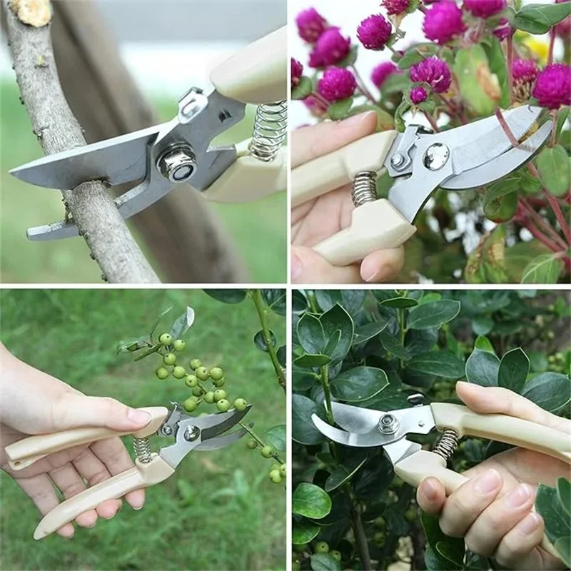 Ciseaux de taille multifonctionnels en acier inoxydable, coupe de branches d