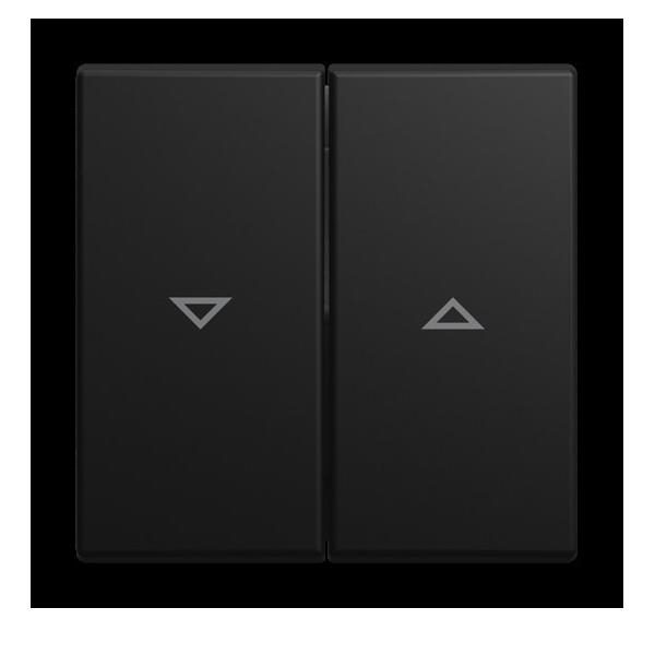 Busch-Jaeger Wippe mit Aufdruck 2504-915 2CKA001713A0203 Image