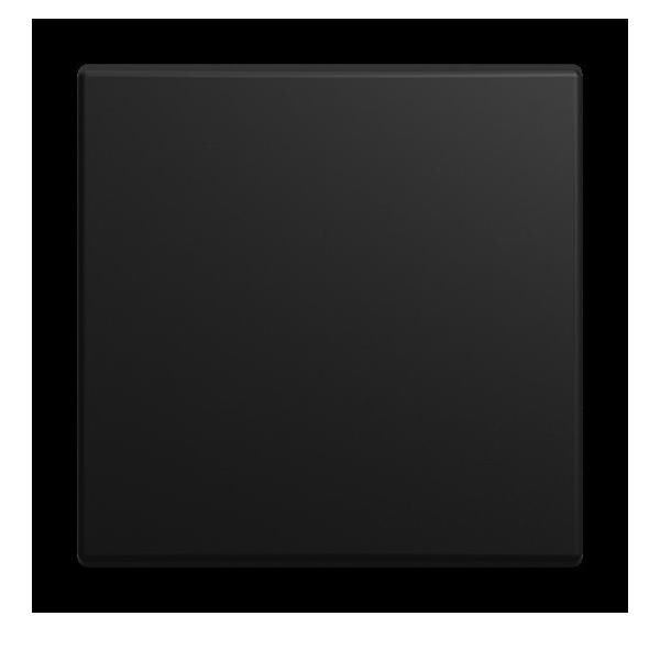 Busch-Jaeger Wippe geschlossen 2506-915 2CKA001731A4043 Image