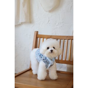 Dolly Pet Elsa's Reversible Fur Dog Coat, Medium