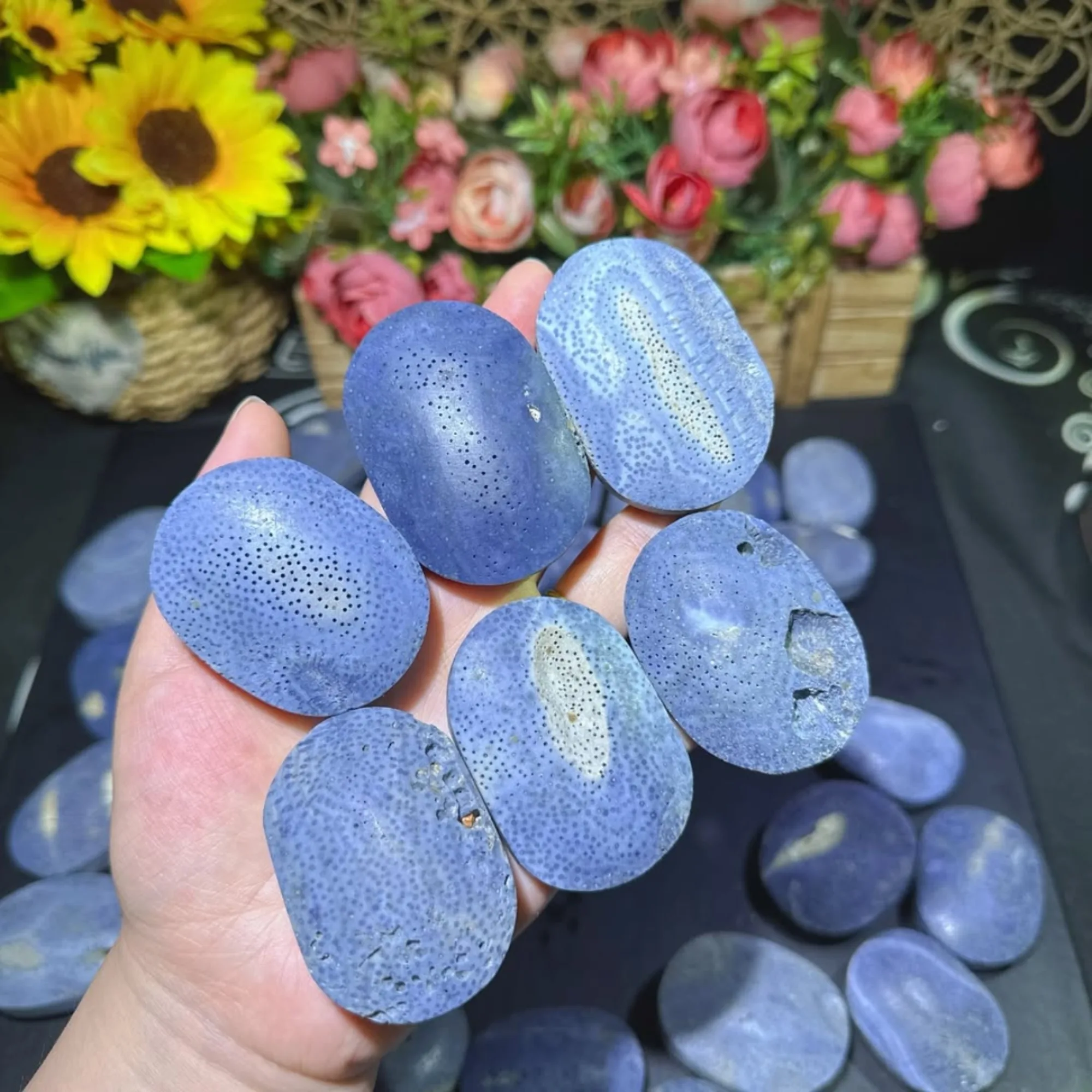 1, blauer Korallen-Jaspis-Palmenstein mit spiralförmigem Marmor- und blaugrünem Achatmuster, einzigartiger Meditationsstein, Palmstone-Massage Image