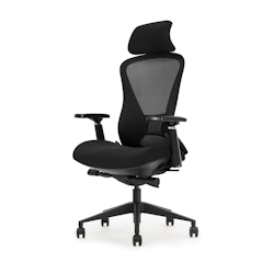 Schaffenburg Office Furniture Schaffenburg 600 Series Bürostuhl Synchronmechanismus 3D Armlehnen ATO-600-NEN-BM-BB-S 52 x 59 x 135 cm Image