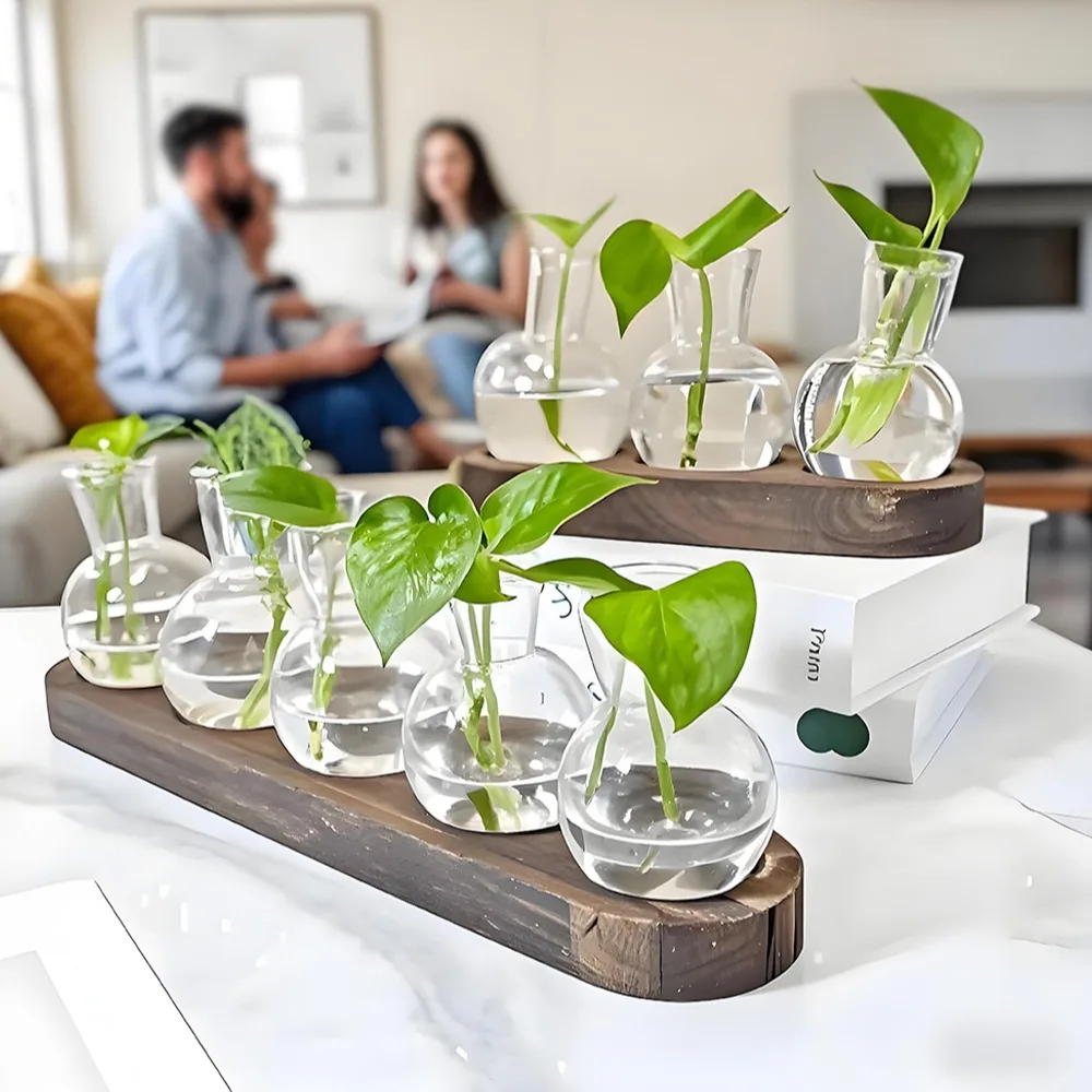 Desktop-Pflanzenvermehrungsstation, Glaspflanzer, Terrarium mit Holz für Hydrokulturpflanzen, Heimbüro-Dekoration, Pflanzgefäß, Liebhaber Image