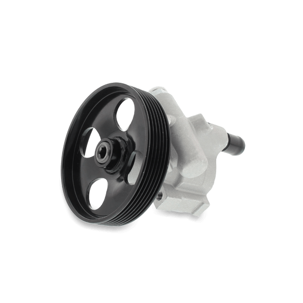 NTY Hydraulikpumpe VW,AUDI,PORSCHE SPW-AU-002 4F0145155T,4F0145156B,4F0145156C 4F0145156F,4F0145156K Image