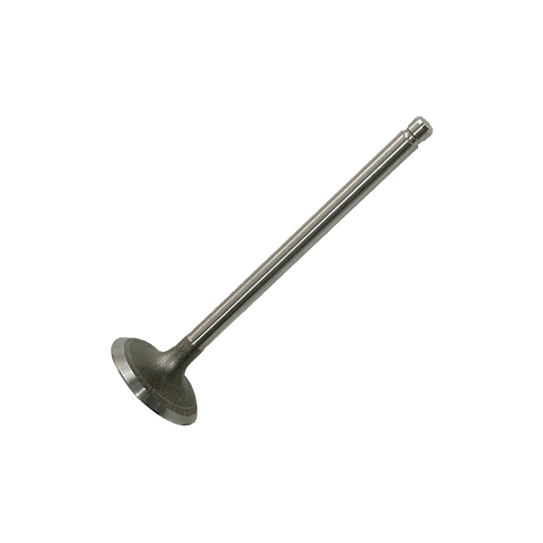 FRECCIA Einlaßventil BMW R6459/S 11341435461,11347503737 Image