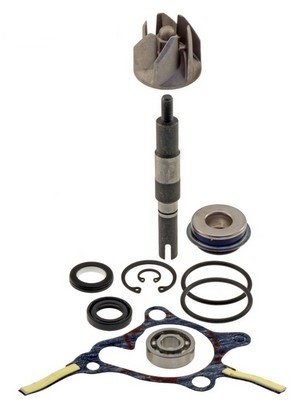 RMS Reparatursatz, Wasserpumpe 10 011 0310 Image