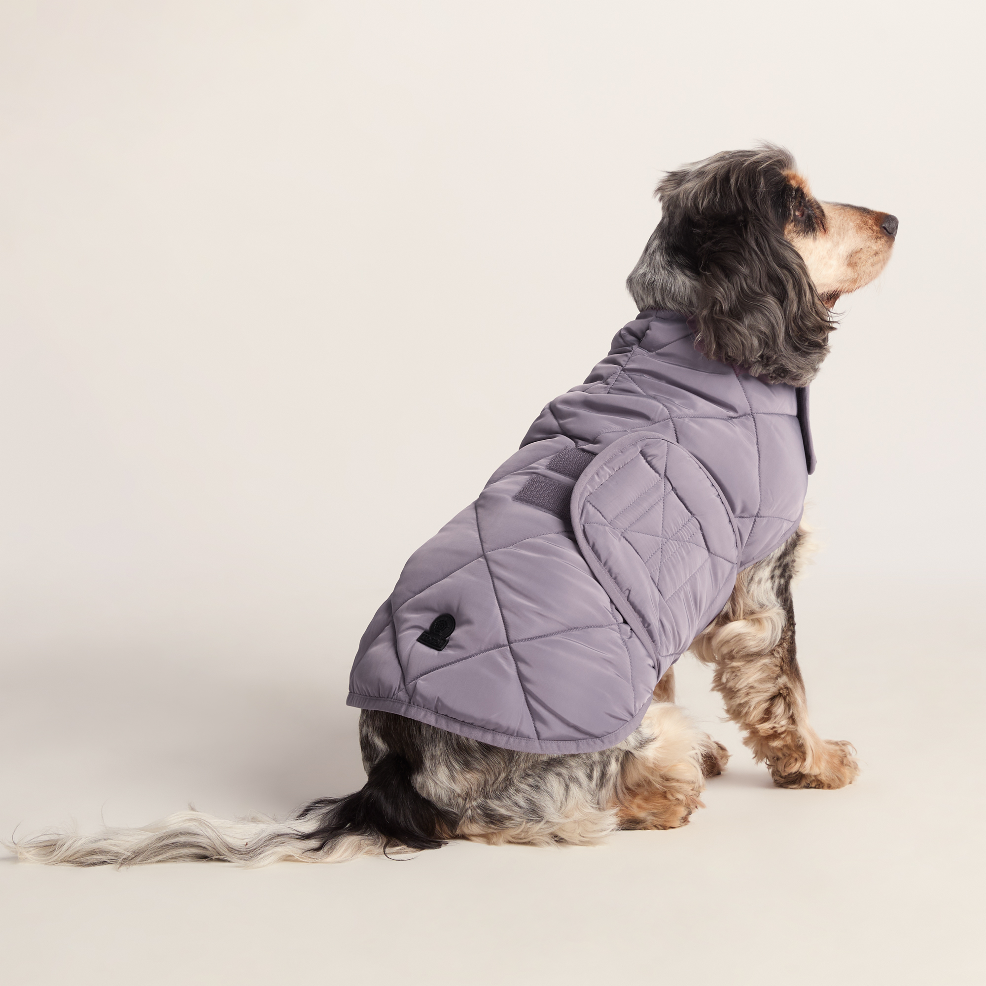 TOG24 Fido Padded Dog Coat M - Dusky Lilac - Size Medium | TOG24 Sale | Discount Designer Brands