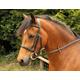 Windsor Equestrian Horses Bridle Brown Pony