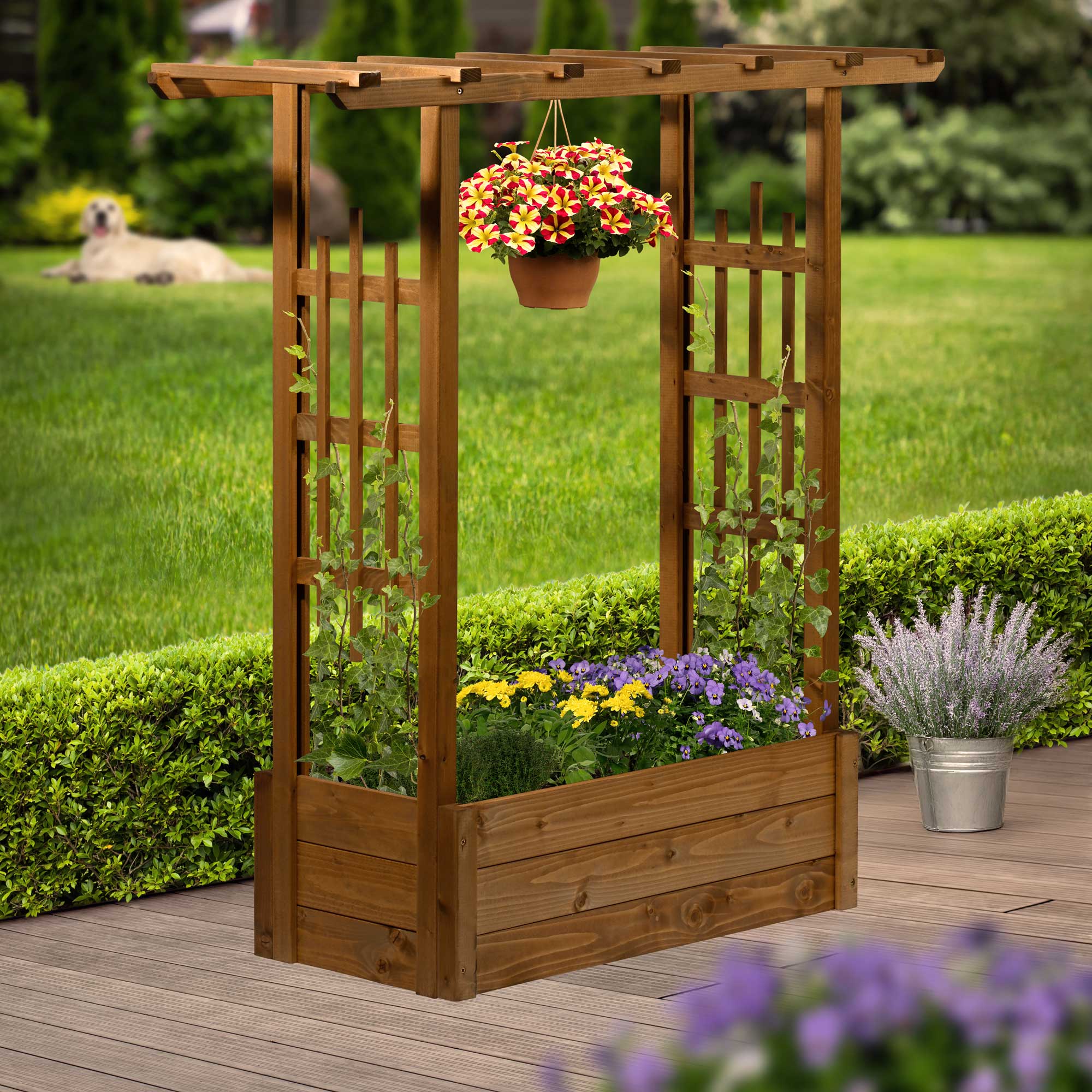 Hochbeet DOBAR "Pflanzkasten "Pergola" aus Holz, Braun", braun, B:117cm H:119cm T:39cm, Massivholz, Pflanzgefäße, Der Rankkasten ist ca. 117 x 39 x 119 cm (LxBxH) groß und ca. 9,86 kg