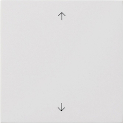 Gira Wippe 1-fach 5389112 Image