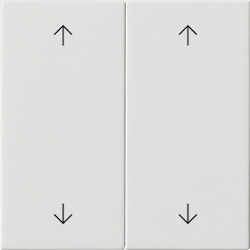 Gira Wippe 2-fach 538703 Image