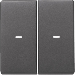 Berker Tast-Abdeckung 2f. anth 80960326 Image