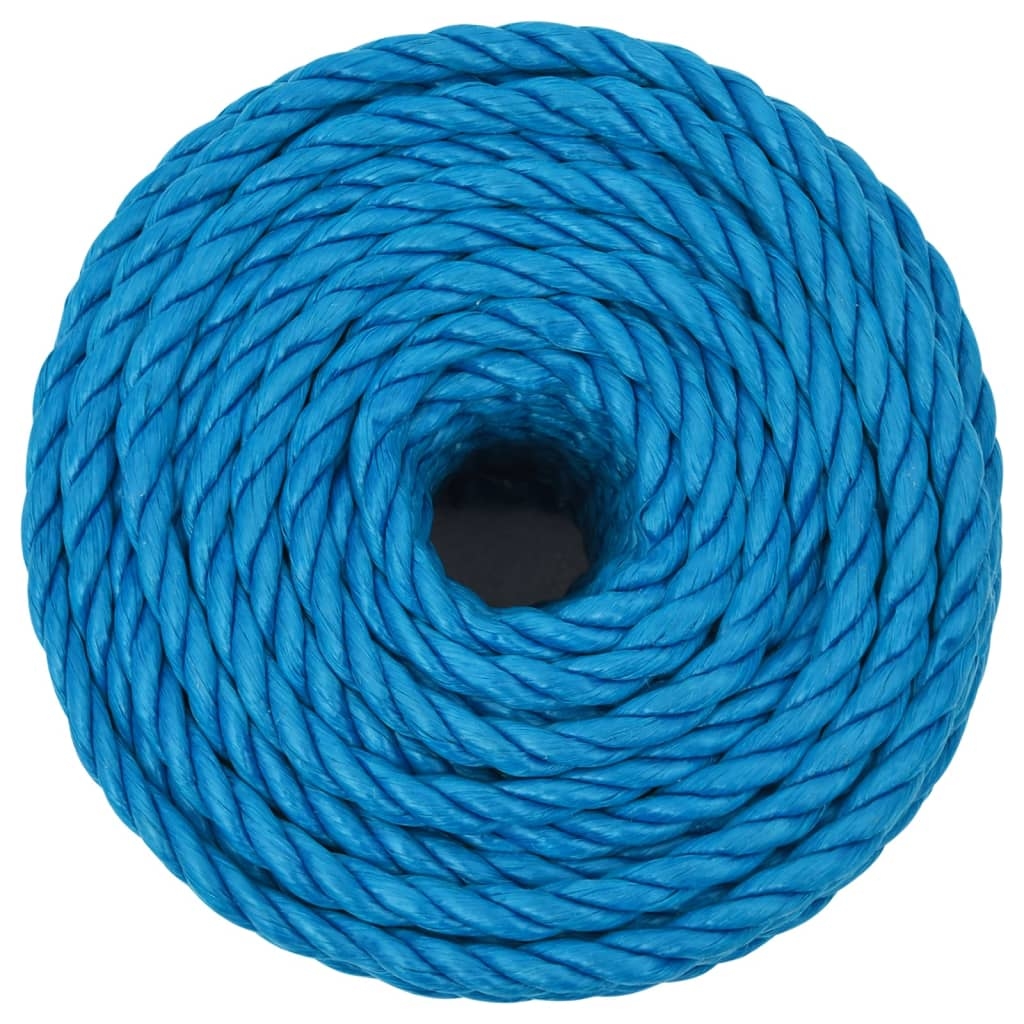 vidaXL Arbeitsseil Blau 16 mm 25 m Polypropylen Image