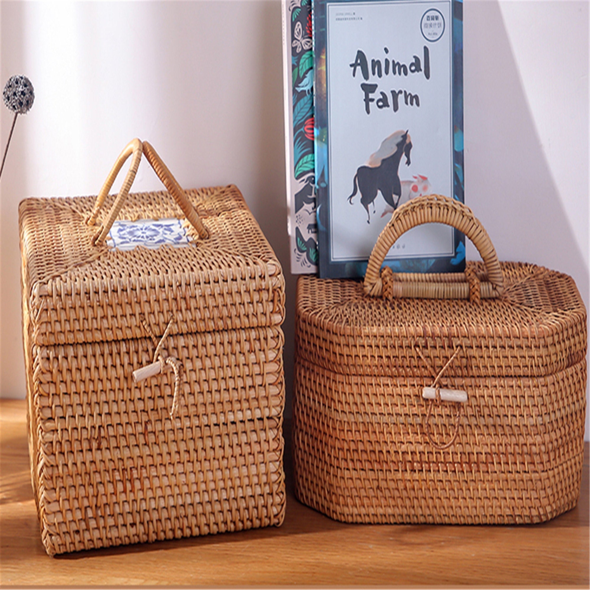 Cestino portaoggetti in rattan intrecciato con coperchio, scatola portaoggetti in rattan, cestino portaoggetti per picnic, torte da tè e vestiti, scat